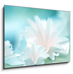 Sklenn obraz 1D - 100 x 70 cm F_E72231283 - roses flower wedding valentine background - re kvt svatebn valentine pozad