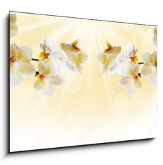 Sklenn obraz 1D - 100 x 70 cm F_E72852358 - Beautiful white orchid - Krsn bl orchidej