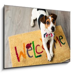 Sklenn obraz 1D - 100 x 70 cm F_E73116832 - Cute dog posing on the carpet