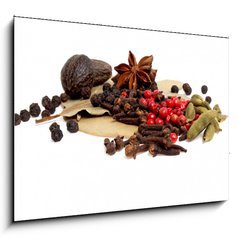 Obraz 1D - 100 x 70 cm F_E73902901 - Spices isolated on white background