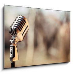 Obraz 1D - 100 x 70 cm F_E74009701 - Silver vintage microphone in the studio on blured background