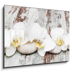Obraz 1D - 100 x 70 cm F_E78194063 - beautiful orchid with stones