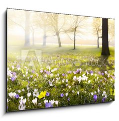 Obraz 1D - 100 x 70 cm F_E78313786 - abstract sunny beautiful Spring background