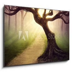 Sklenn obraz 1D - 100 x 70 cm F_E79255911 - Forest pathway - Lesn cesta