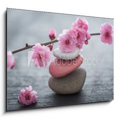 Obraz 1D - 100 x 70 cm F_E79754664 - fleurs zen