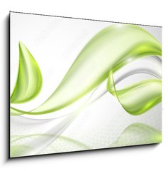Obraz 1D - 100 x 70 cm F_E80011553 - Abstract wave spring background