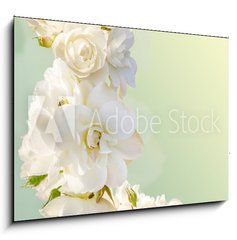 Obraz   Beautiful vertical frame with a bouquet of white roses, 100 x 70 cm