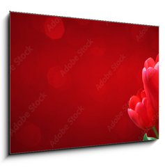 Obraz   Wunderschne Tulpen, 100 x 70 cm