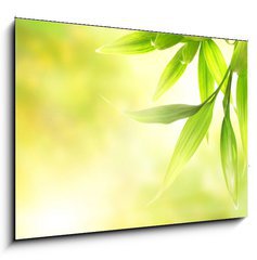 Obraz 1D - 100 x 70 cm F_E8266726 - Green bamboo leaves over abstract blurred background