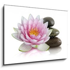 Obraz 1D - 100 x 70 cm F_E8408992 - Fleur de lotus et galets zen