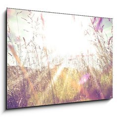 Obraz 1D - 100 x 70 cm F_E84657670 - Sun rays on a meadow