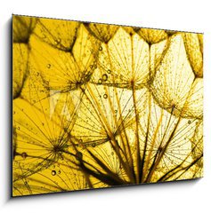 Sklenn obraz 1D - 100 x 70 cm F_E86292092 - close up of dandelion on the golden background