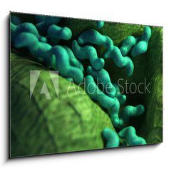 Sklenn obraz 1D - 100 x 70 cm F_E87073278 - medical bacteria illustration of the campylobacter