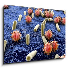 Sklenn obraz 1D - 100 x 70 cm F_E89000179 - Bacteria and viruses on surface of skin, mucous membrane or intestine, model of MERS, HIV, flu, Escherichia coli, Salmonella, Klebsiella, Legionella, Mycobacterium tuberculosis, model of microbes