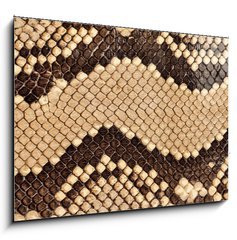 Obraz   Snake skin., 100 x 70 cm