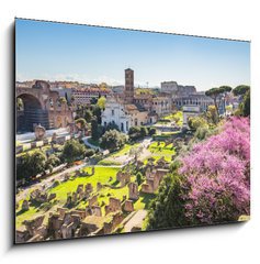 Sklenn obraz 1D - 100 x 70 cm F_E90731336 - The aerial view of Roman Forum in Rome, Italy