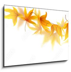 Obraz 1D - 100 x 70 cm F_E90900017 - Swirl of falling autumn maple leaves isolated on white