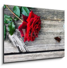 Obraz   Red rose and butterfly on an old wooden table, 100 x 70 cm