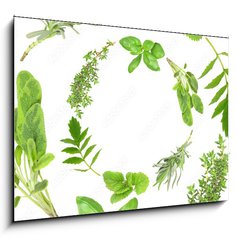 Sklenn obraz 1D - 100 x 70 cm F_E9167074 - Herb Garlands