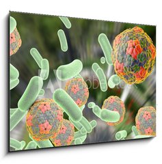 Obraz 1D - 100 x 70 cm F_E92014317 - Bacteria and viruses (Hepatitis A virus) on colorful background. Medical background. Healthcare background - Bakterie a viry (virus hepatitidy A) na barevnm pozad. Lkask vzdln. Pozad zdravotn pe