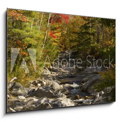 Obraz 1D - 100 x 70 cm F_E93409854 - The Baker River flows through fall foliage, Warren, New Hampshir