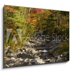 Obraz   The Baker River flows through fall foliage, Warren, New Hampshir, 100 x 70 cm