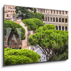 Obraz 1D - 100 x 70 cm F_E94095592 - Exterior view of the Colosseum in Rome with green trees around.