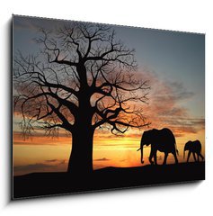 Sklenn obraz 1D - 100 x 70 cm F_E9699496 - Group of elephant in africa