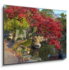 Sklenn obraz 1D - 100 x 70 cm F_E9821471 - summer japanese landscape with pond and trees - letn japonsk krajina s rybnkem a stromy