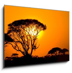 Obraz 1D - 100 x 70 cm F_E9856280 - african sunset in savannah, kenya - africk zpad slunce v savan, kenya