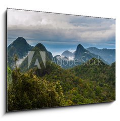 Sklenn obraz 1D - 100 x 70 cm F_E98620191 - Langkawi - Inselparadis der Adler im Regenwald