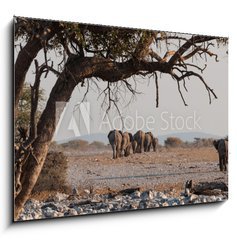 Sklenn obraz 1D - 100 x 70 cm F_E98815534 - Elefantenherde verl  sst das Wasserloch  Etosha  Namibia - Elefantenherde verl sst das Wasserloch Etosha Namibie