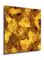 Obraz   ammonite nautilus sea shell fossil background, 50 x 50 cm