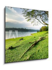 Obraz 1D - 50 x 50 cm F_F10305059 - Grassy Banks Under Large Tree at Sunset