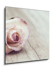 Obraz 1D - 50 x 50 cm F_F104120121 - Vintage Rose