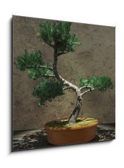 Sklenn obraz 1D - 50 x 50 cm F_F104394610 - Decorative Bonsai Tree