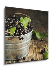 Obraz 1D - 50 x 50 cm F_F106540835 - Blackcurrant - Černý rybíz