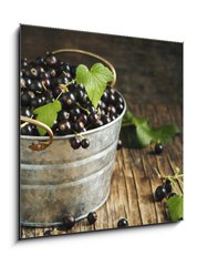 Obraz 1D - 50 x 50 cm F_F106540835 - Blackcurrant - ern rybz