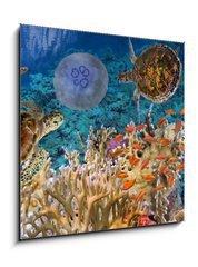 Sklenn obraz 1D - 50 x 50 cm F_F107412265 - Colorful coral reef with many fishes and sea turtle