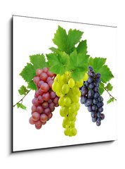 Sklenn obraz 1D - 50 x 50 cm F_F10964464 - Three fresh grapes
