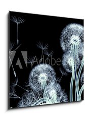 Obraz 1D - 50 x 50 cm F_F110422506 - x-ray image of a flower isolated on black , the Taraxacum dandel