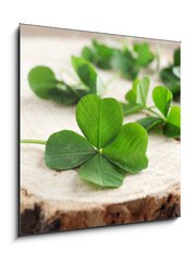 Obraz 1D - 50 x 50 cm F_F110661857 - Green clover leaves on a piece of wood, closeup