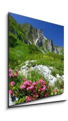 Obraz 1D - 50 x 50 cm F_F11754961 - spring in the alps