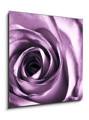 Sklenn obraz 1D - 50 x 50 cm F_F11865044 - Purple rose