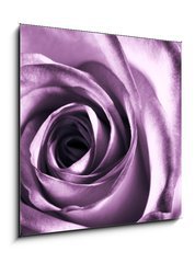 Obraz 1D - 50 x 50 cm F_F11865044 - Purple rose - Fialová růže