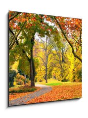 Obraz   Park im Herbst in freundlich warmen Farben, 50 x 50 cm