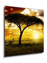 Obraz 1D - 50 x 50 cm F_F12197040 - Africa Sunset - Afrika Západ slunce