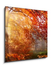 Obraz 1D - 50 x 50 cm F_F122248477 - Herbst im Wald, mit Lichtstrahlen im Nebel und rotem Laub