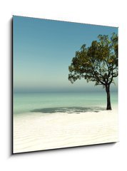 Obraz 1D - 50 x 50 cm F_F126560090 - tree on the beach - strom na pli