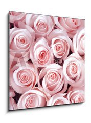 Obraz 1D - 50 x 50 cm F_F128745282 - Pink roses as a background